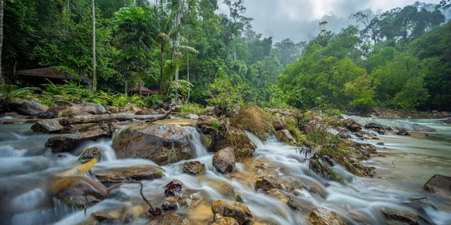 Endau Rompin National Park-5