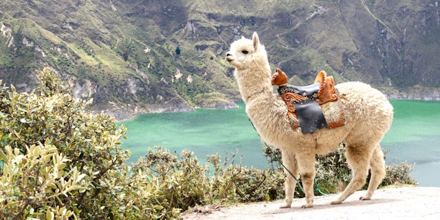 Quilotoa Loop-1