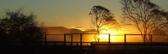 Mount Augustus Tourist Park