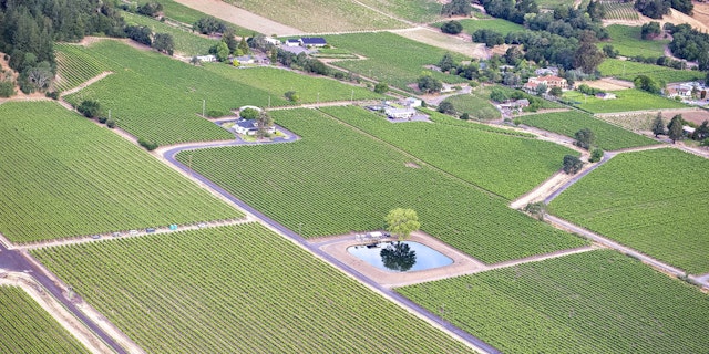Napa Valley-8
