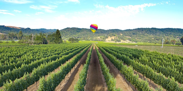 Napa Valley-3