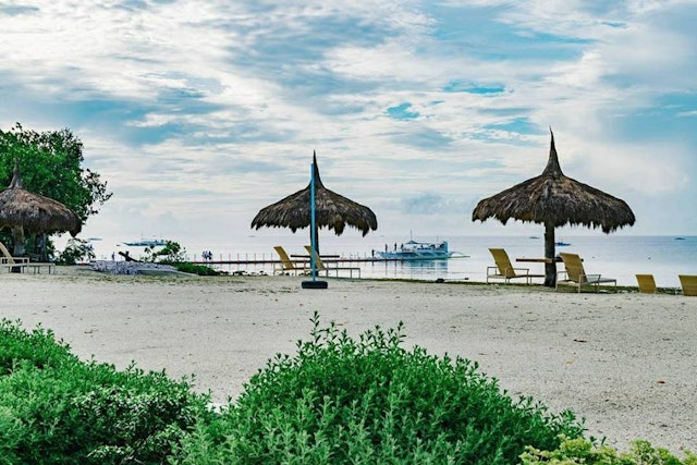 Bluewater Panglao Beach Resort