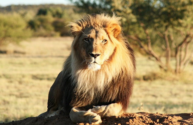 Etosha ouest-0