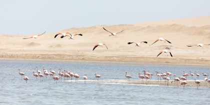 Peru Rundreise 2 Wochen: von Lima bis zum Heiligen Tal der Inkas - Image 2