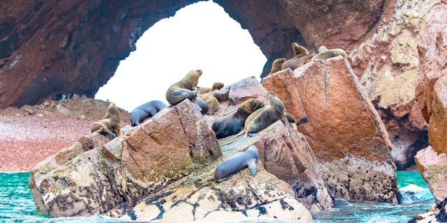 Paracas-0