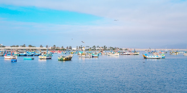 Paracas-4