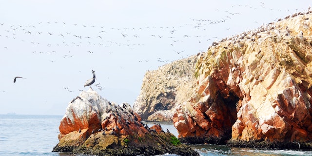 Paracas-3