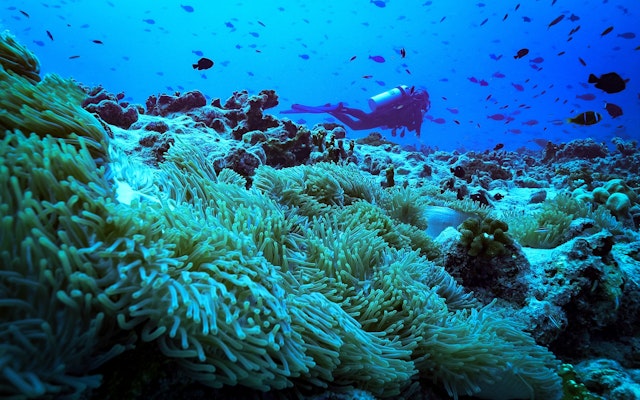 Fakarava-3