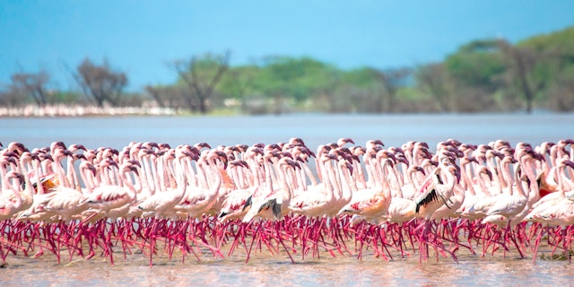 Lake Elmenteita-1