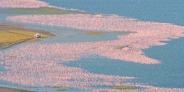 Lake Elmenteita-0