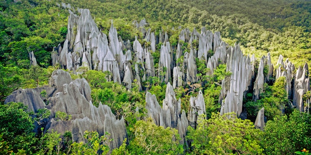 Gunung Mulu National Park-1