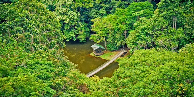 Gunung Mulu National Park-6