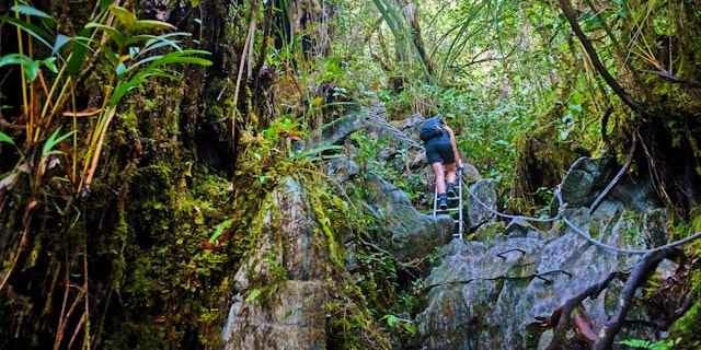 Gunung Mulu National Park-5