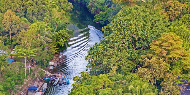 Gunung Mulu National Park-4