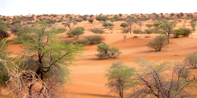 Safari en Namibie en famille
