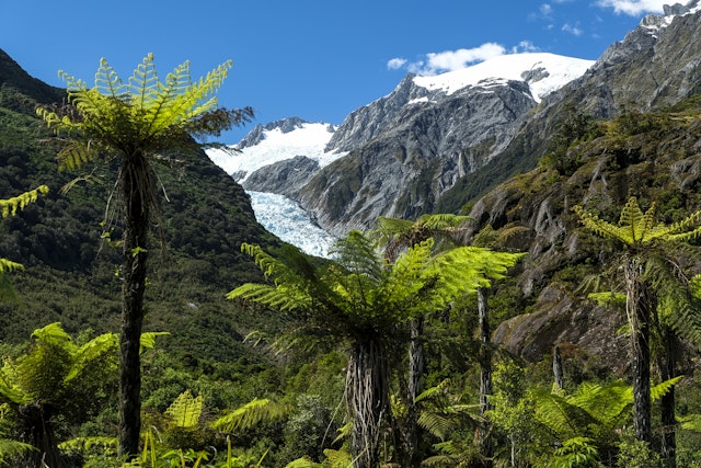 Franz Josef-3