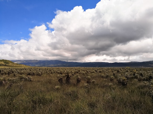 Road trip en Colombie de 3 semaines