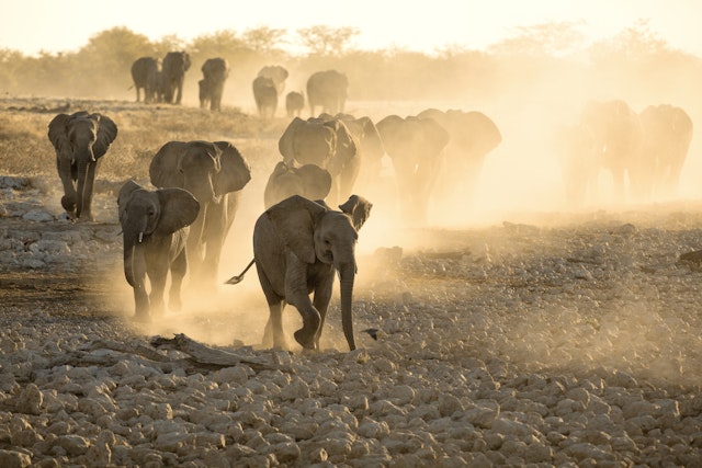 Damaraland-1