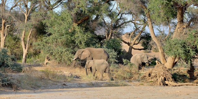 Damaraland-0