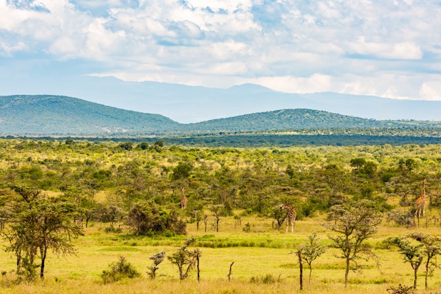 Ol Pejeta Conservancy-0