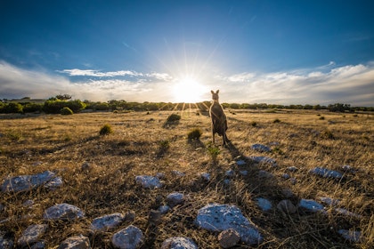 Aventure sur la Great Ocean Road - Image 3