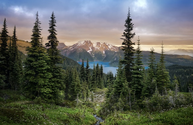 Whistler-1