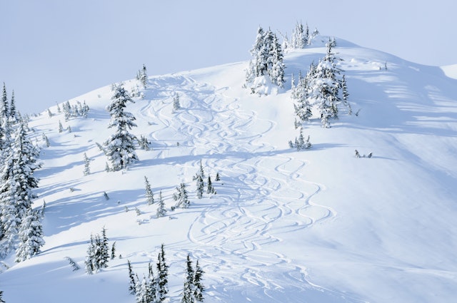Whistler-2