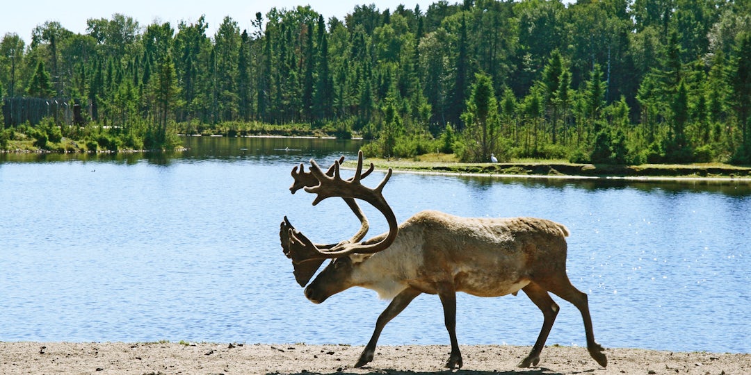 Circuit au Québec en hiver