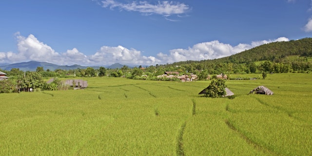 Pai-4
