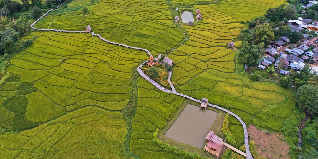 Road trip en Thaïlande de 2 semaines