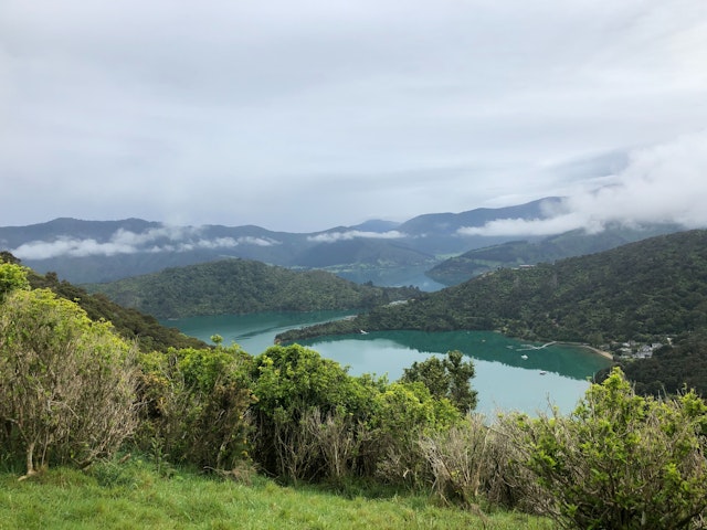 Picton-1