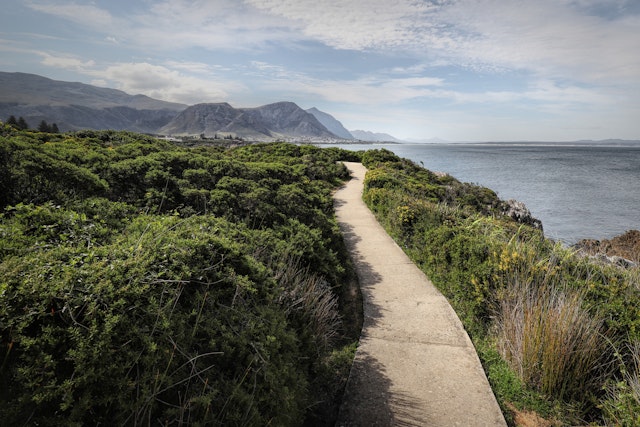 Hermanus-1