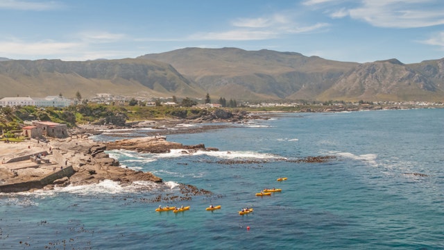Hermanus-2