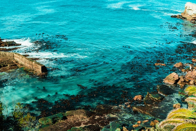Hermanus-0