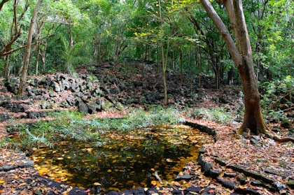 1 Woche Mauritius Urlaub: Ost- & Westküste - Image 2