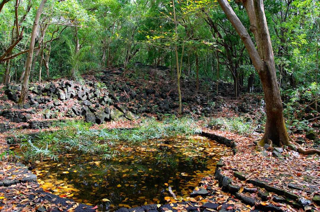 1 Woche Mauritius Urlaub: Ost- & Westküste