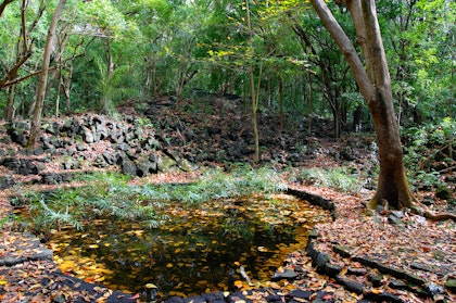 1 Woche Mauritius Urlaub: Ost- & Westküste - Image 2