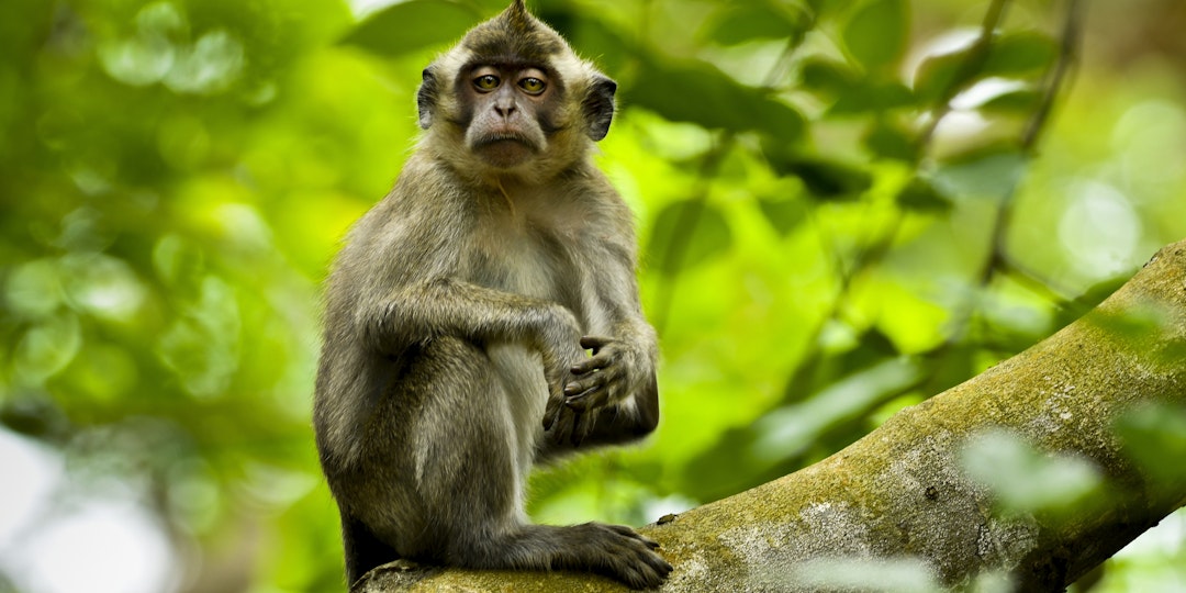 Mauritius Rundreise: 2 Wochen Abenteuer
