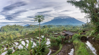 Voyage en Indonésie de 3 semaines - Image 4