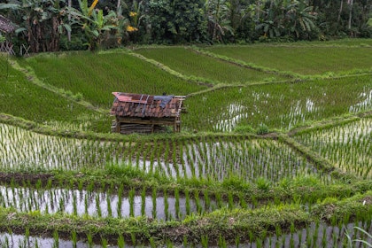 Voyage sur les îles d'Indonésie : Bali, Gili, et Lombok - Image 4
