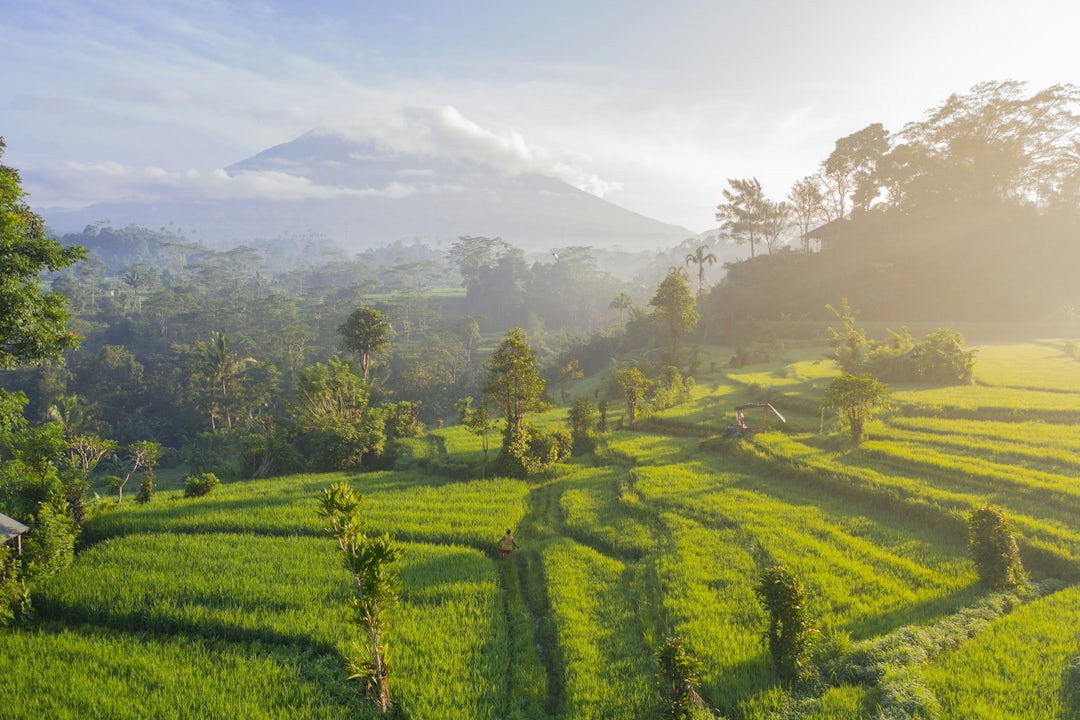 Circuit à Bali de 3 semaines : Nusa Dua à Seminyak