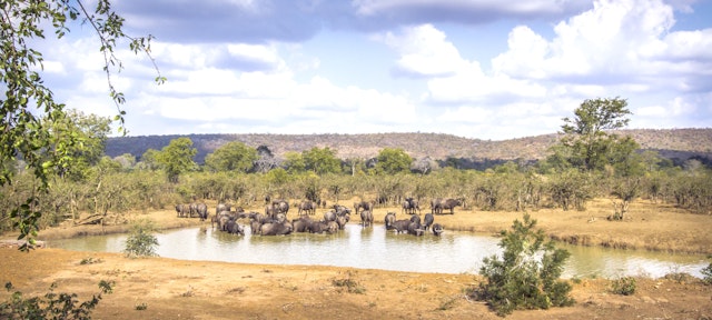 Southern Kruger-3