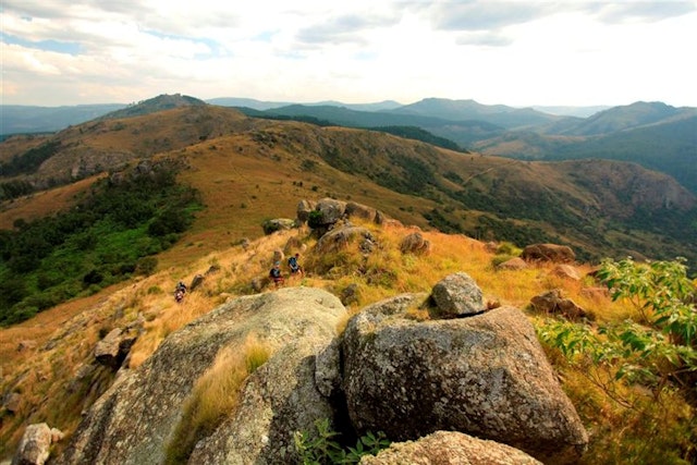 Wildtiere hautnah: Privatsafari in Drakensberg