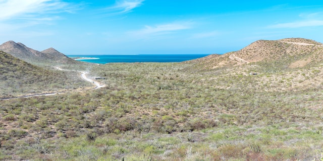 Cabo Pulmo National Park-0