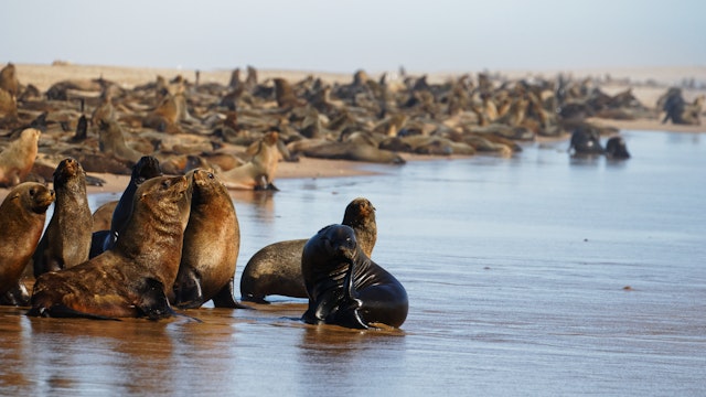 Lüderitz-0