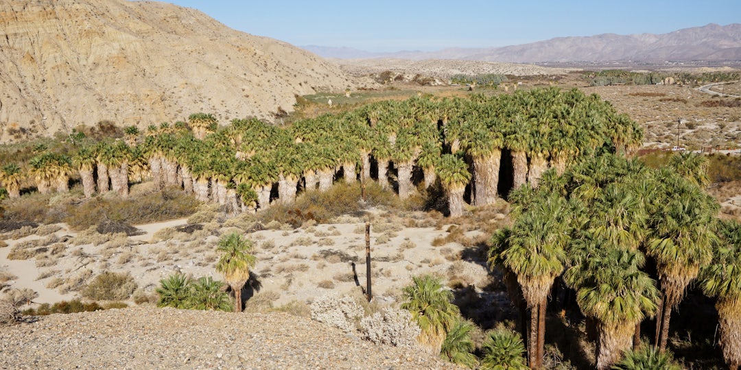 Road trip de San Francisco à Las Vegas