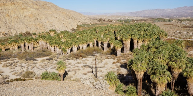 Palm Desert -4