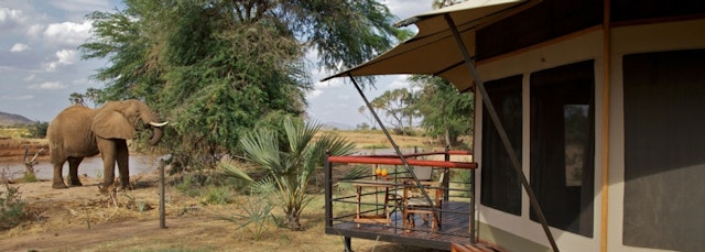 Ashnil Samburu Camp
