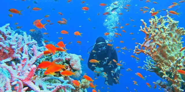 Great Barrier Reef-5