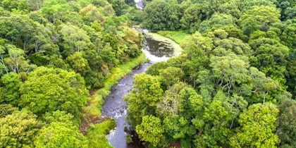 2 Wochen Fotoreise durch Costa Rica - Image 3